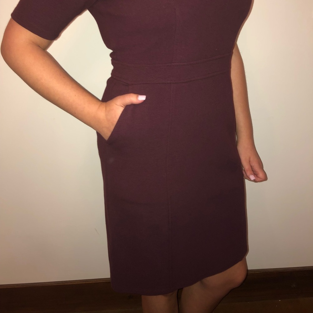 NWT LOFT Plum petite dress with pockets 6P